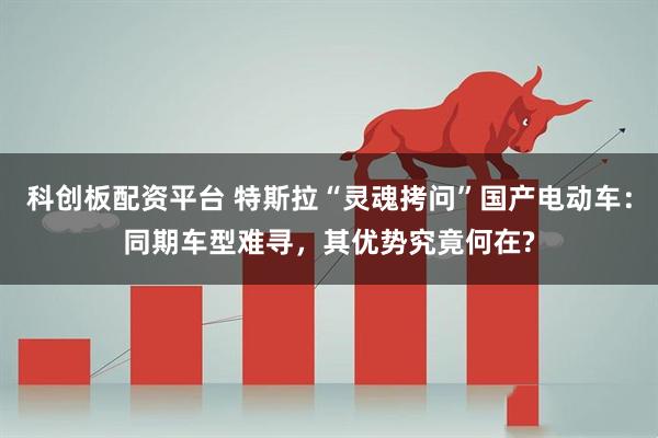 科创板配资平台 特斯拉“灵魂拷问”国产电动车：同期车型难寻，其优势究竟何在?