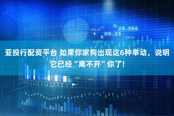 亚投行配资平台 如果你家狗出现这6种举动，说明它已经“离不开”你了!