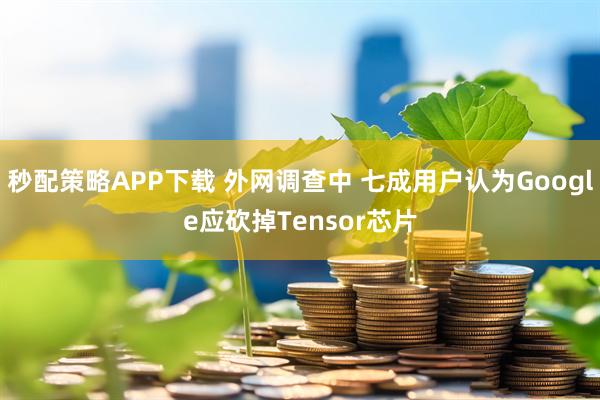 秒配策略APP下载 外网调查中 七成用户认为Google应砍掉Tensor芯片